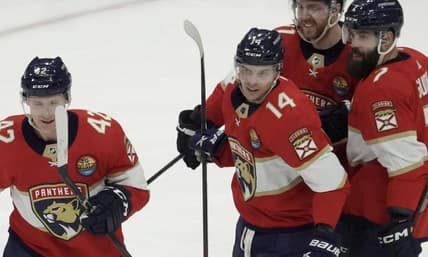Florida panthers
