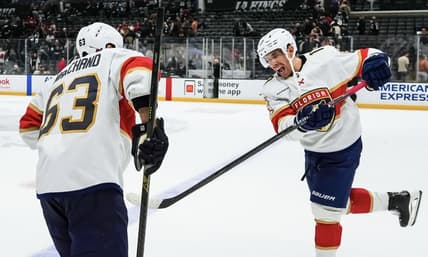 Florida panthers
