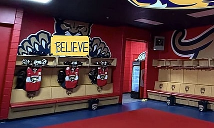 Florida panthers