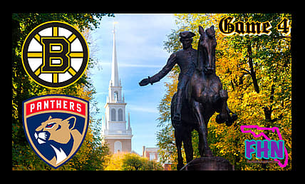 Panthers bruins