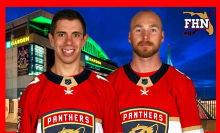 Florida panthers