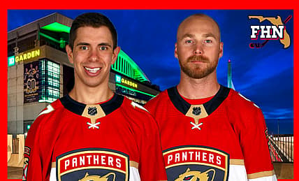 Florida panthers