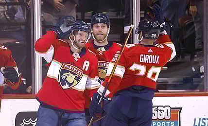 Florida panthers