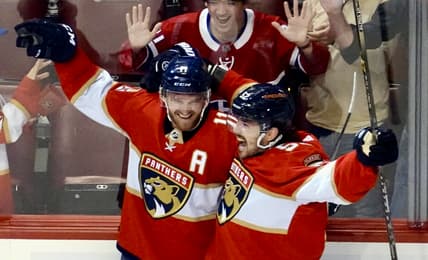 Panthers flames