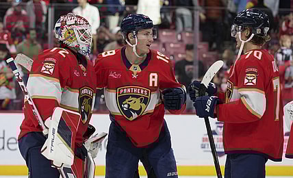 Florida panthers
