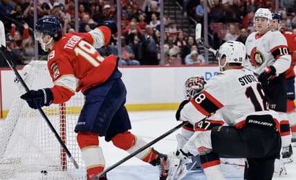Florida panthers