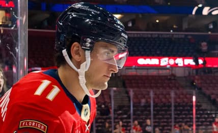 Florida panthers