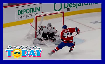 NHL playoff
