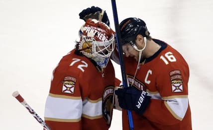 Florida panthers