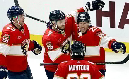 Florida Panthers