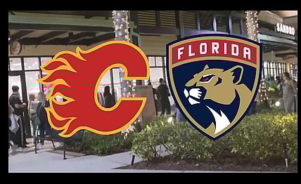 Panthers flames