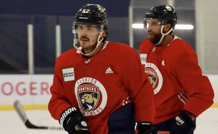 Florida Panthers defense