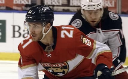 Free florida panthers agency
