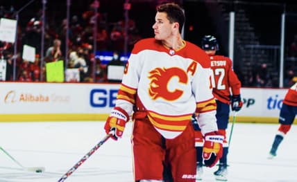 Florida panthers
