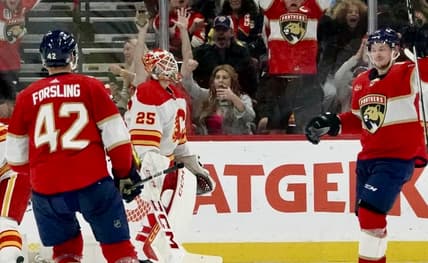 Florida panthers