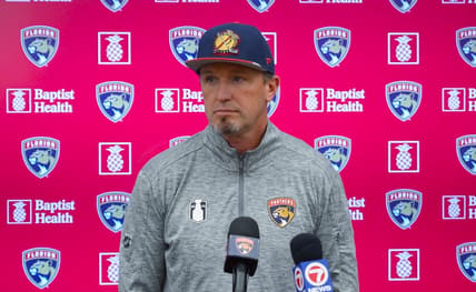 Florida panthers