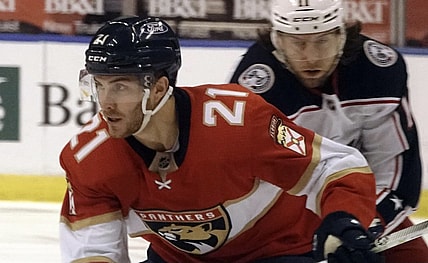 Free florida panthers agency