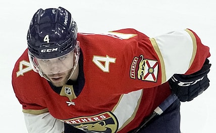 Florida panthers