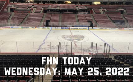 Florida panthers