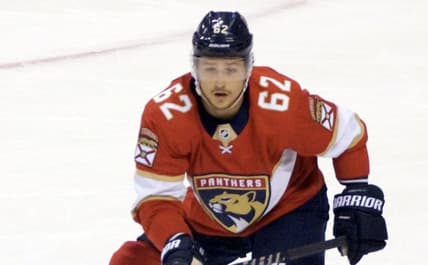 Florida Panthers montour
