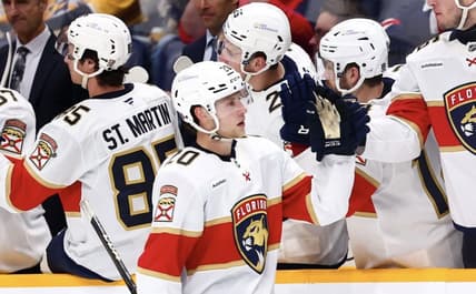 Florida panthers