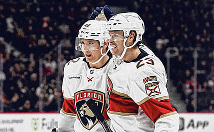 Florida panthers buffalo