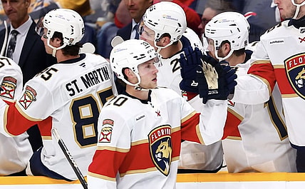 Florida panthers