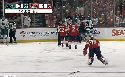 Bobrovsky goalie fight