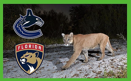 Panthers canucks