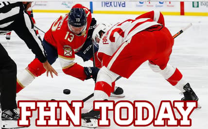 Detroit red wings