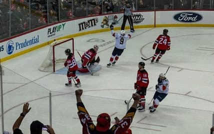 Florida panthers