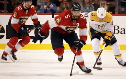 Florida panthers