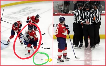 Florida panthers