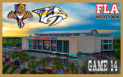 Panthers predators