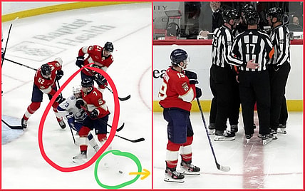 Florida panthers
