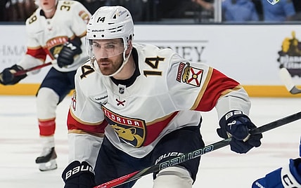 Florida panthers