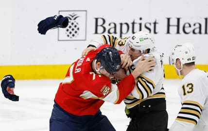 Florida panthers