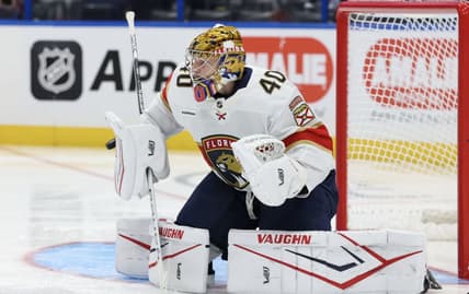 Tarasov panthers