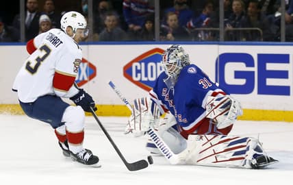 Florida panthers