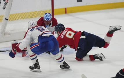 Florida panthers