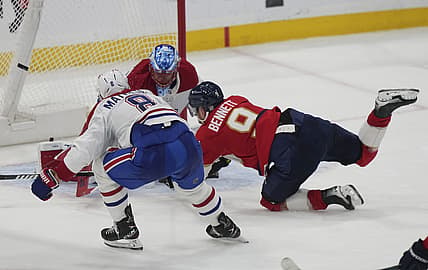 Florida panthers