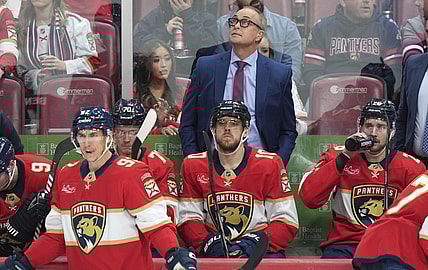 Florida panthers