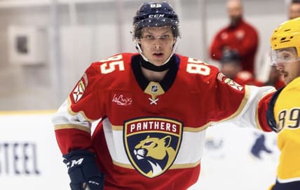 Florida panthers