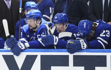 Leafs panthers