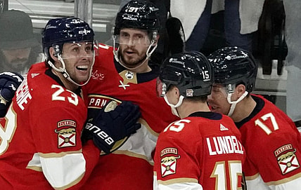 Florida panthers