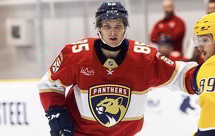 Florida panthers