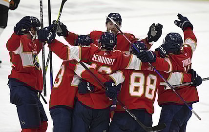 Florida panthers