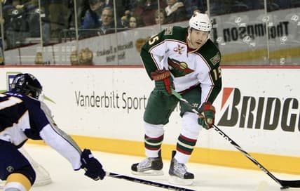 Florida panthers