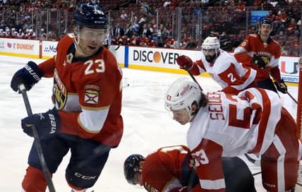 Florida panthers