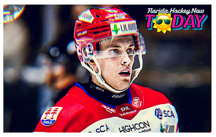 Florida panthers